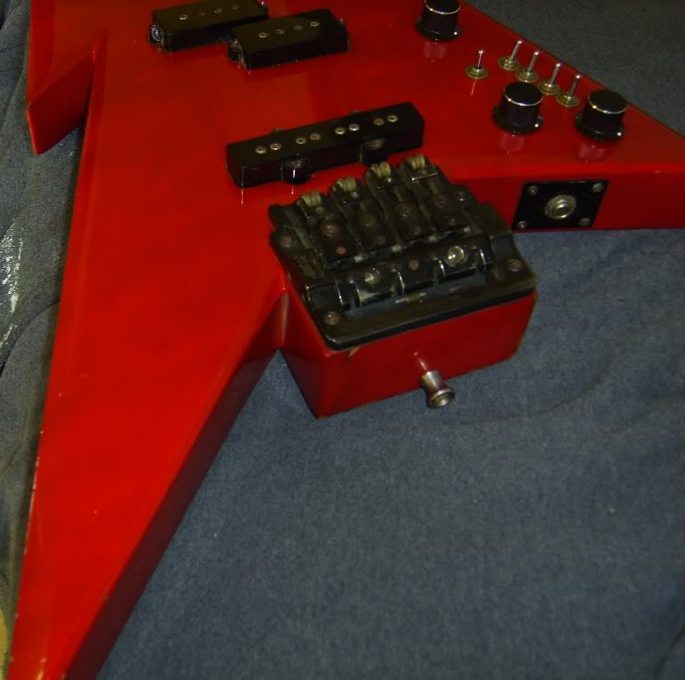 SV202334.jpg