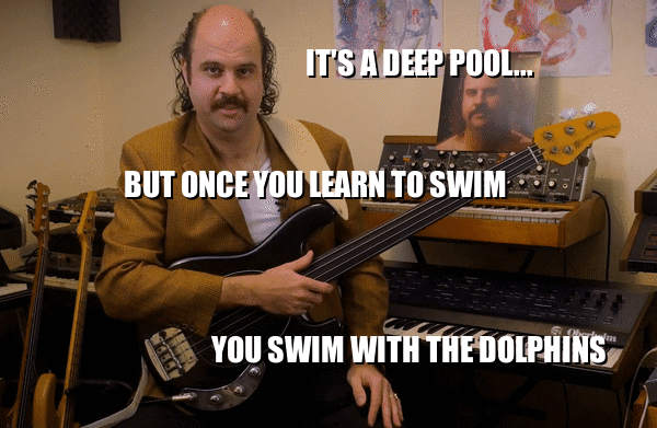 Swim_with_the_Dolphins.gif