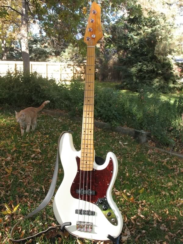 SXJBass1web.jpg