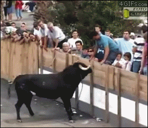 syqird.gif
