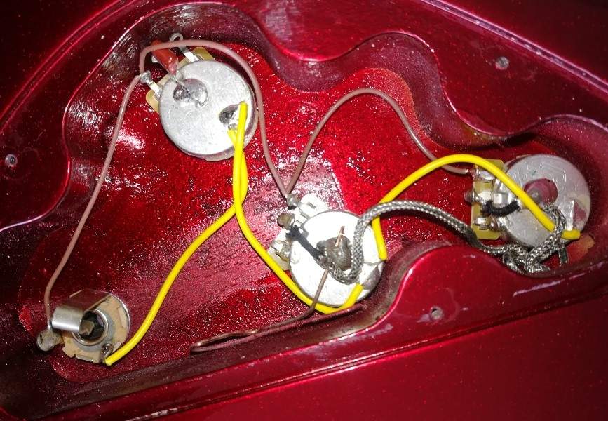T Bird harness.jpg