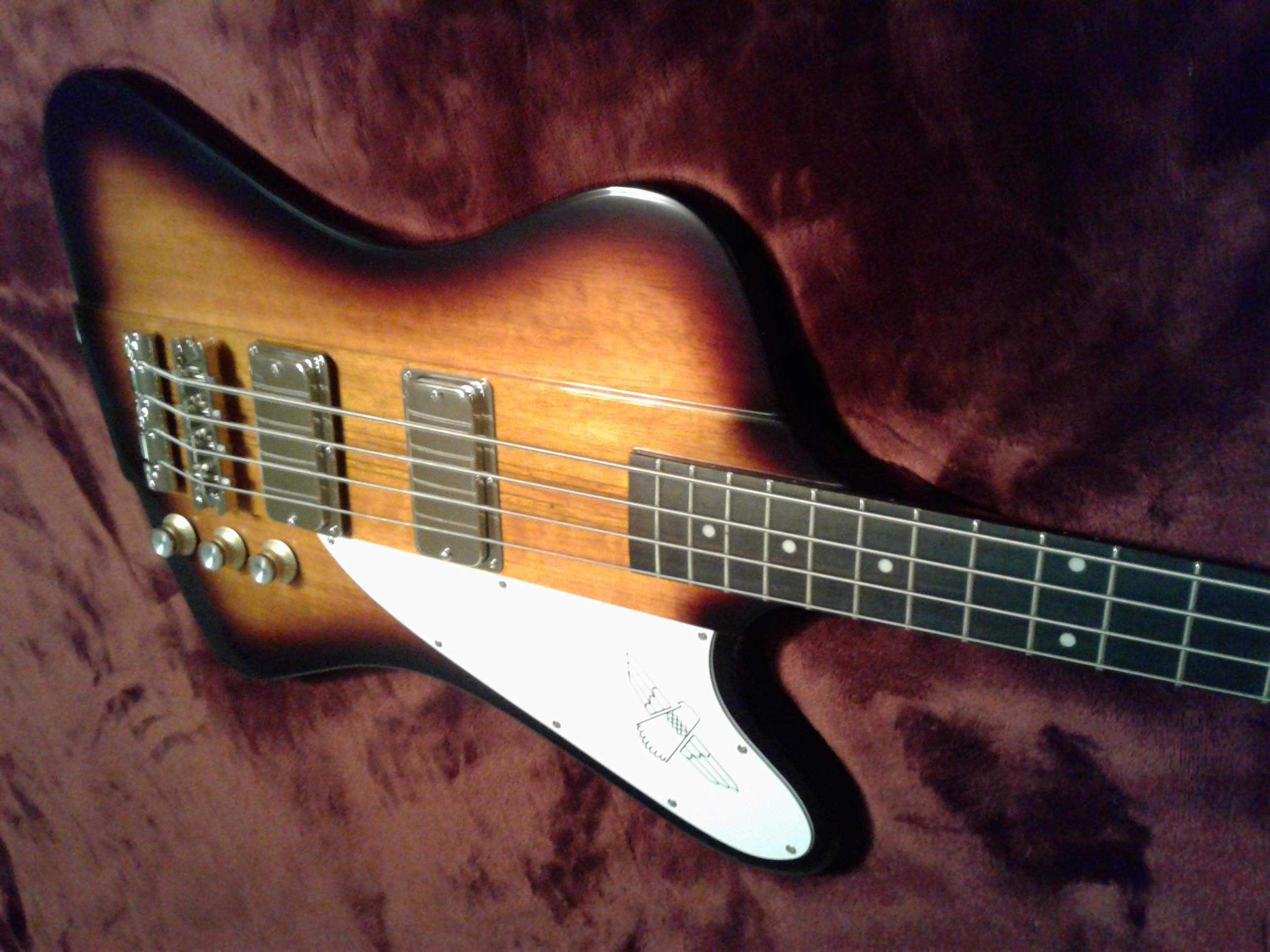 T BIRD.jpg