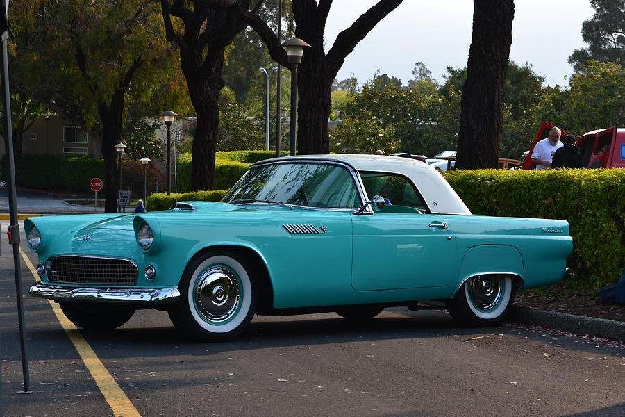 T-Bird_zpsm0g54ltb.jpg