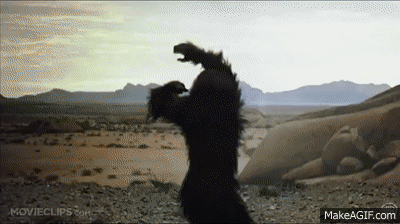 T-ntaZ.gif