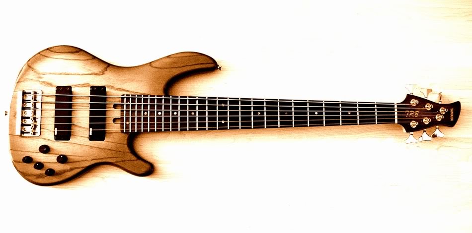 t12.jpg
