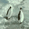 t301430685_92058_4.gif