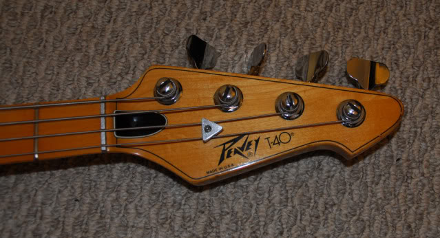t40_head.jpg