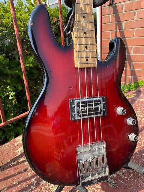 T_45 REVERB PIC.jpg