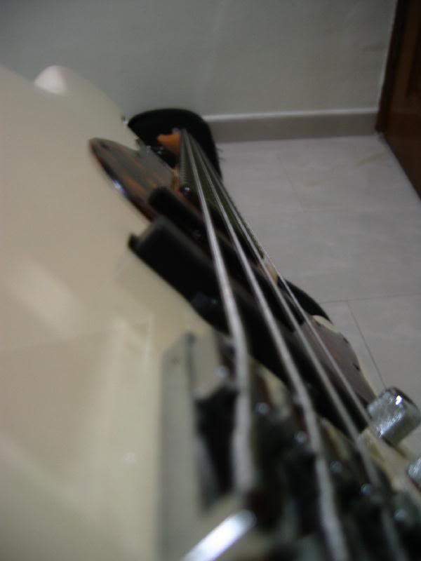 T_Bass_7.jpg