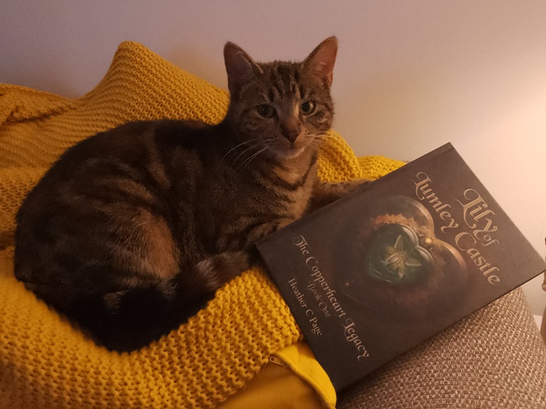 tabbybook.jpg
