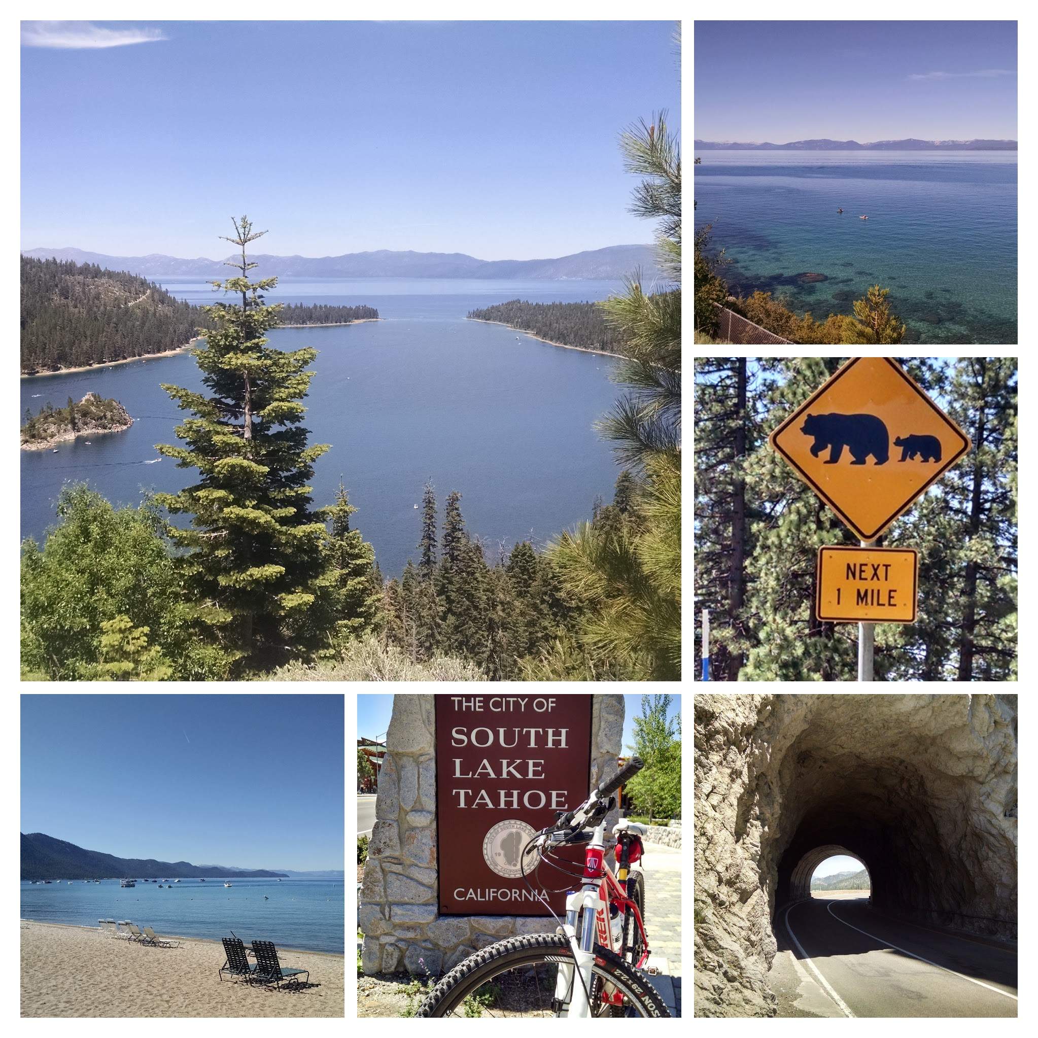 Tahoe Collage.jpg