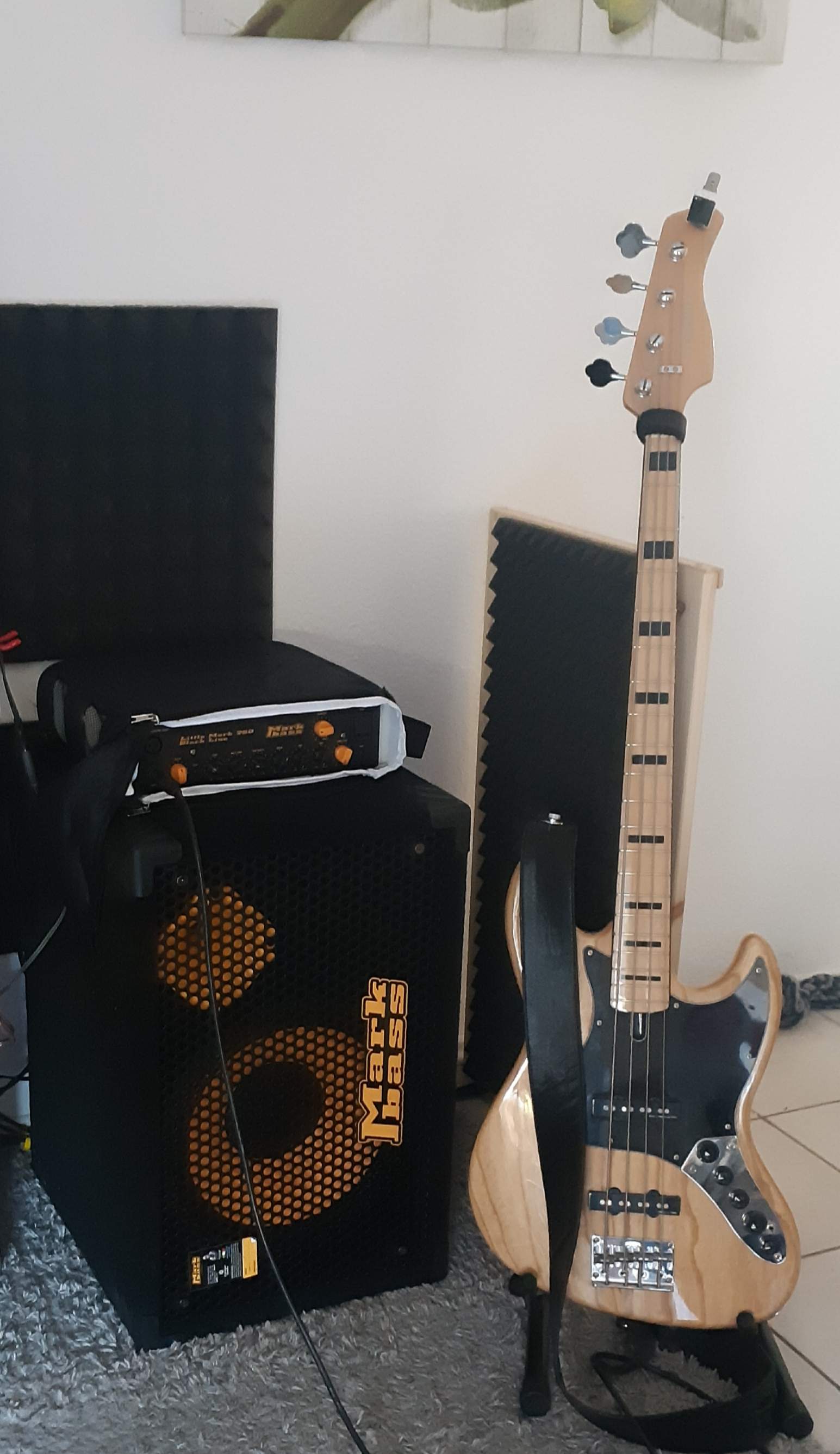 talkbass 11.jpg