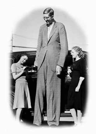 tall_man.jpg