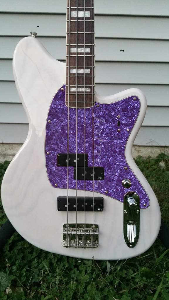 Talman purple.jpg