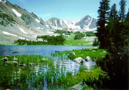 Tamarack.jpg