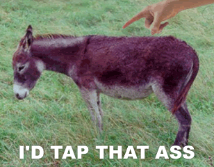 tapthatasszn8.gif