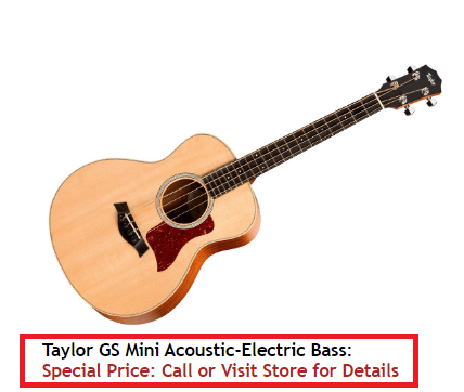 Taylor GS Mini.png