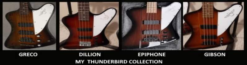 tb-collection.jpg
