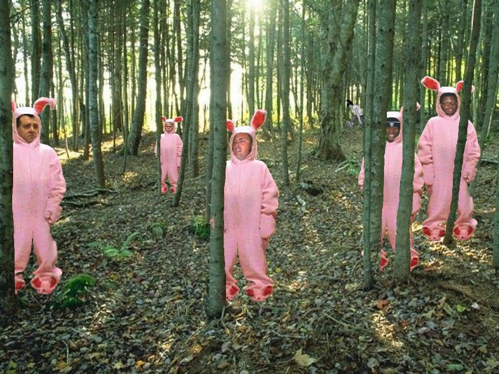 TBForest.jpg