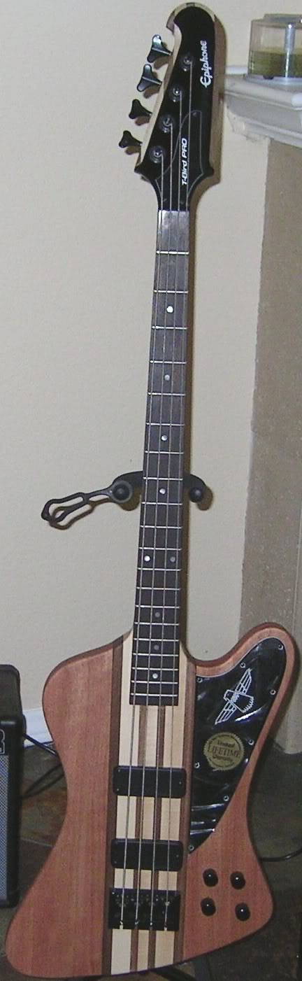 TBird_Pro-IV_crop.jpg