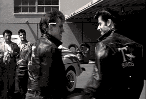 TBirds.gif