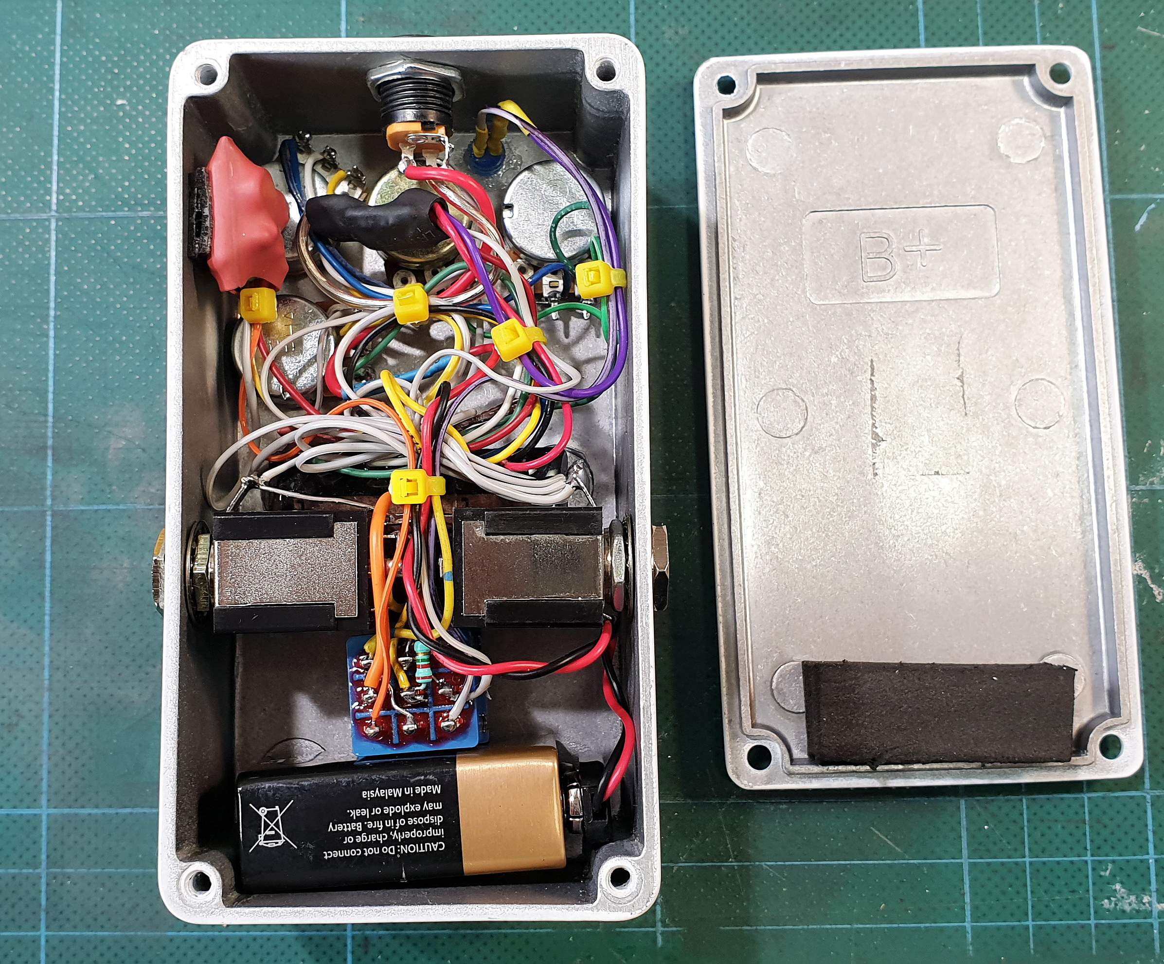 TCT Final Guts.jpg
