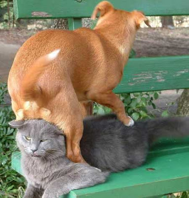 teabagged-this%2Bwill%2Bnot%2Bend%2Bwell.jpg