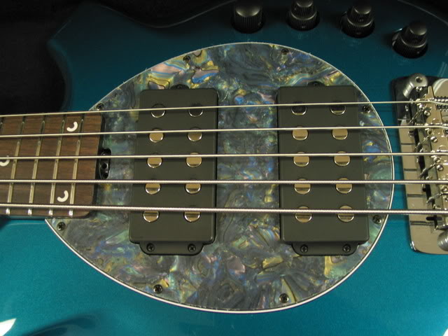 teal_abalone.jpg