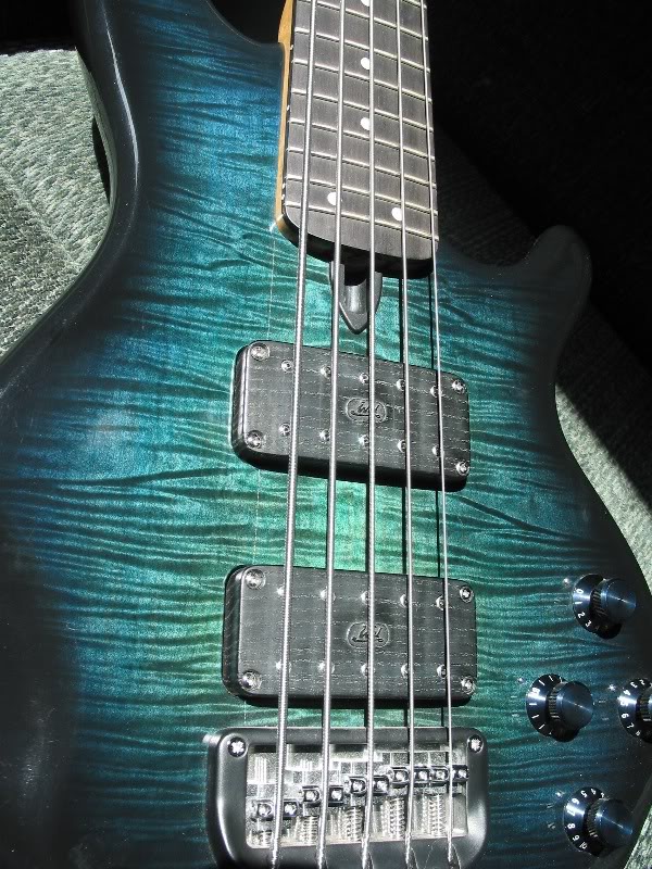 teal_wal_800x600.jpg