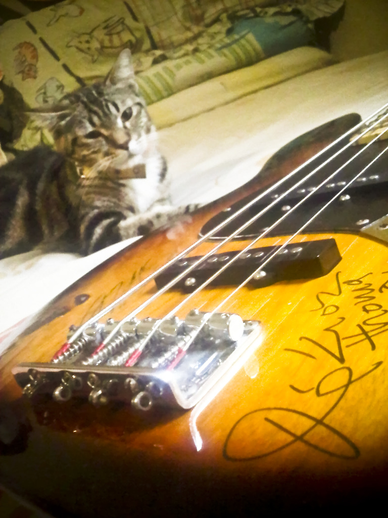 Tebet-20120702-00016Edit.jpg