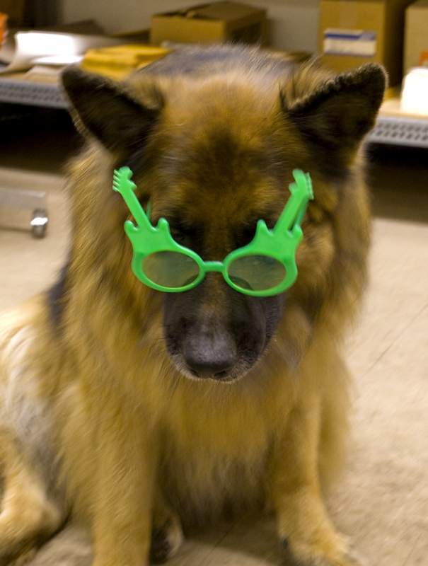 Teddy_800_8042.jpg
