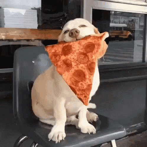 tenor-1595215059.gif