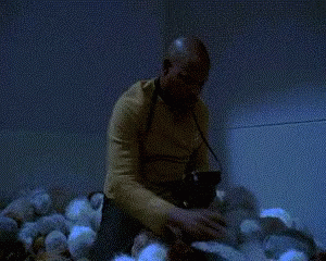 tenor.gif