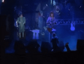 TenseSmugClownanemonefish-max-1mb.gif