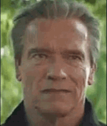 terminator-smile.gif