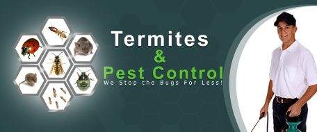 termite-treatment.jpg