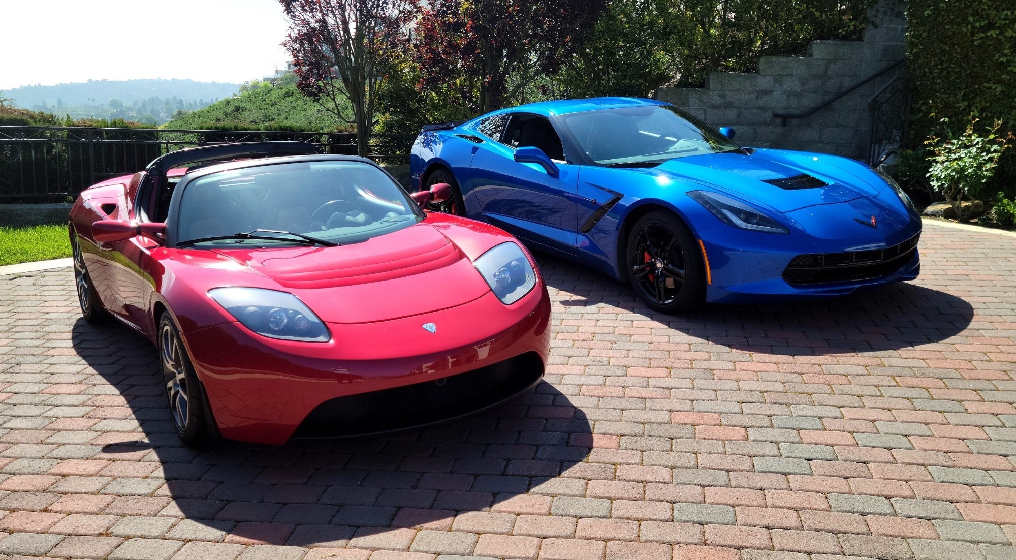 Tesla and Vette - Copy.jpg