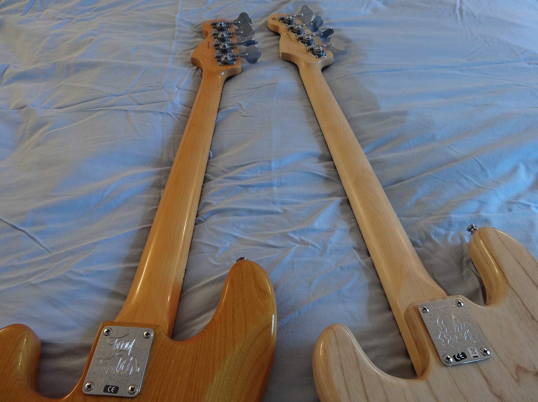 TF_and_AmSpec_necks.jpg