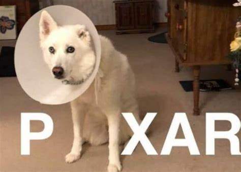 th-1120219760.jpeg