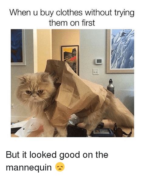 th-2387694748.jpeg