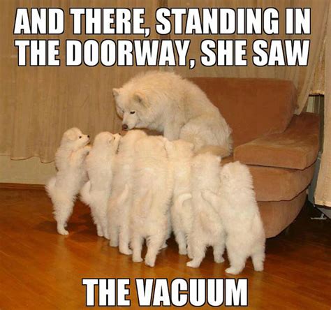 th-2704886502.jpeg