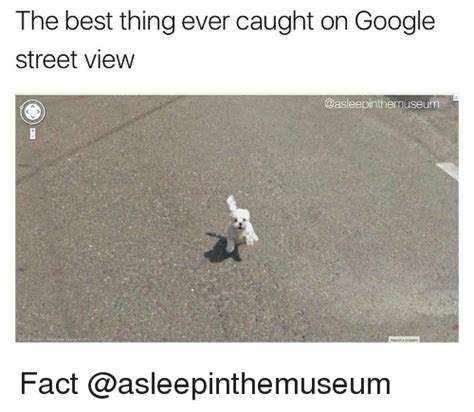 th-2824232998.jpeg