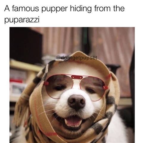 th-2988453918.jpeg