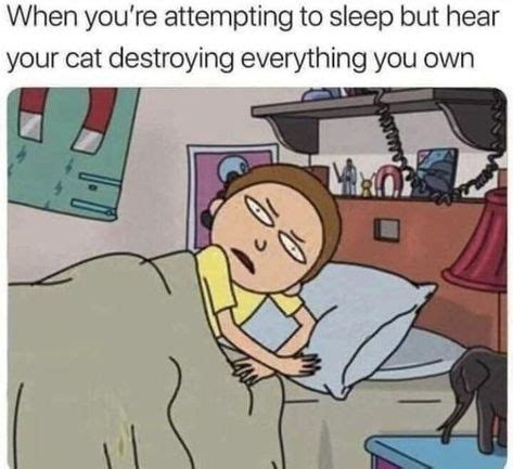 th-3296812462.jpeg