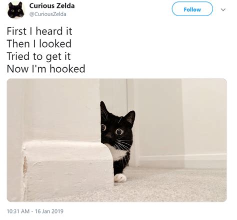 th-3479223730.jpeg