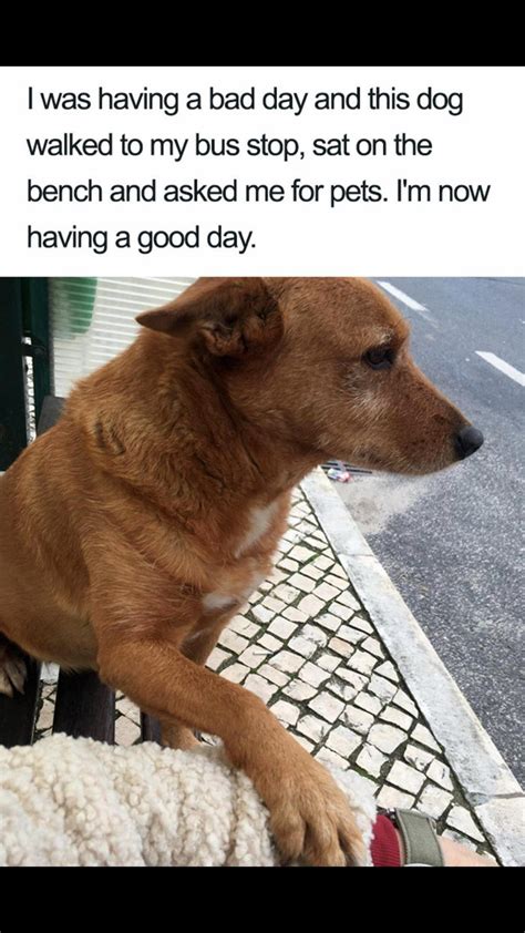 th-3911635850.jpeg