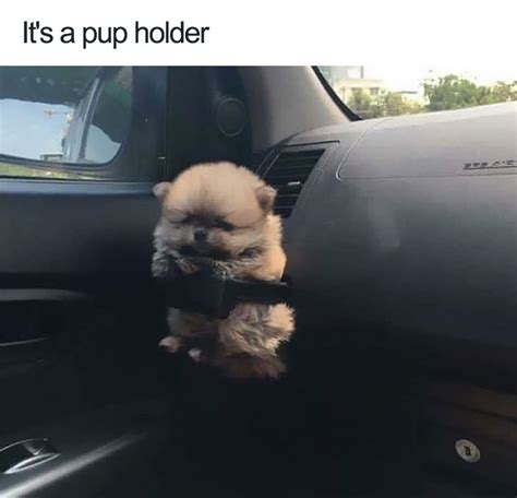 th-482683642.jpeg
