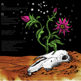 th_back_zps0420ceb6.png