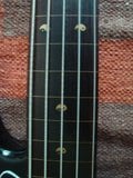th_DSC05397.jpg