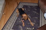 th_DSC_0006.jpg